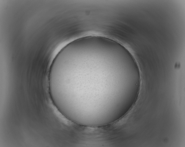 X0000112411056200908281810