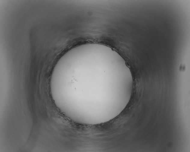 X0000112411057200908281809