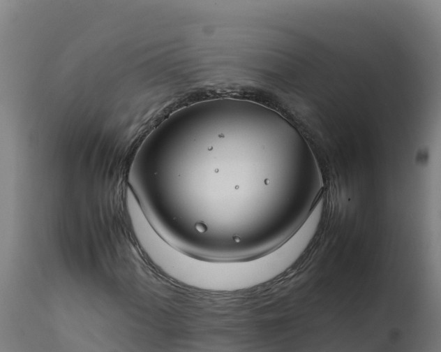 X0000112411060200908281809