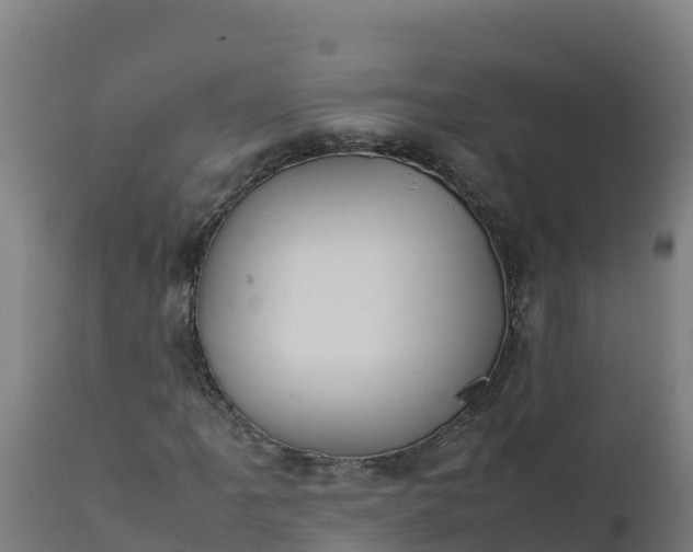 X0000112411061200908281809