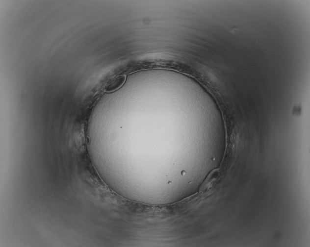 X0000112411062200908281809