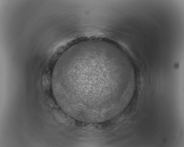 X0000112411063200908281809