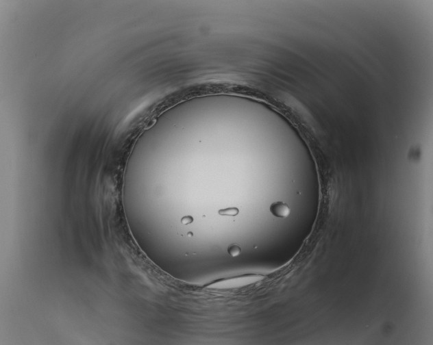 X0000112411064200908281809