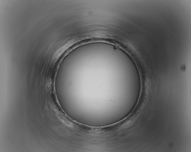 X0000112411065200908281809