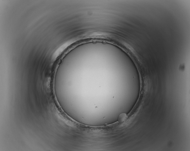 X0000112411066200908281809