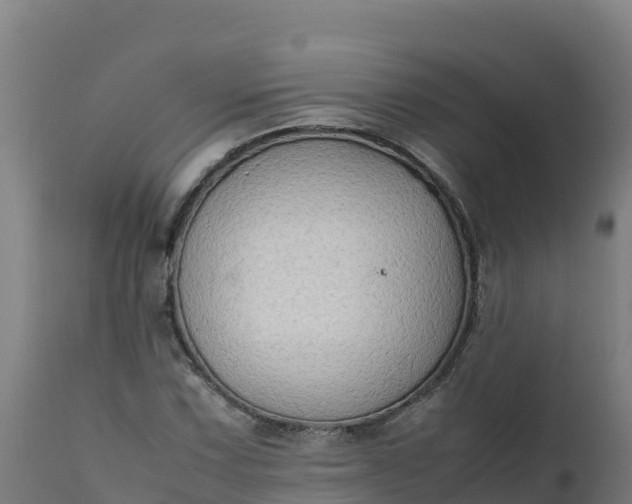 X0000112411067200908281809