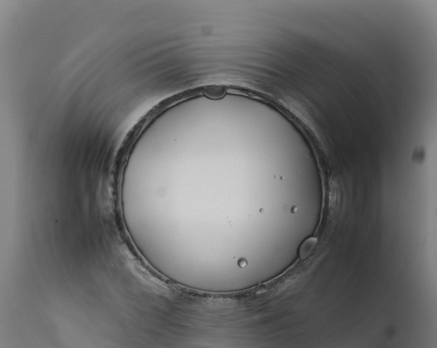 X0000112411068200908281809