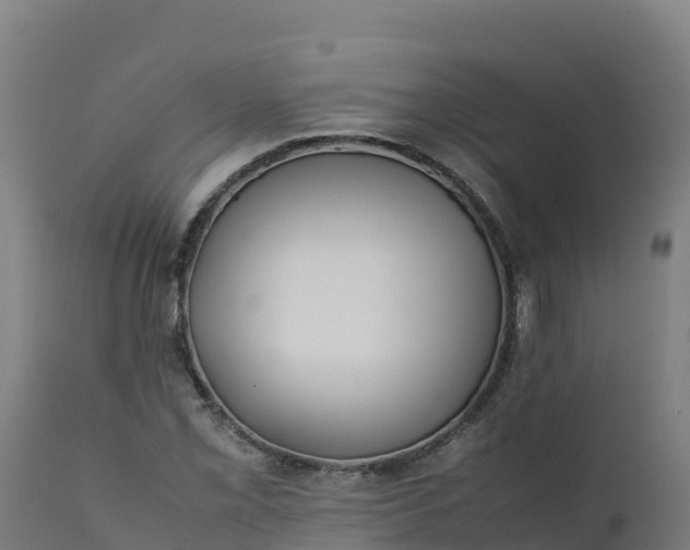 X0000112411069200908281809