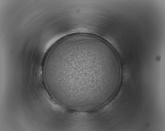 X0000112411070200908281809