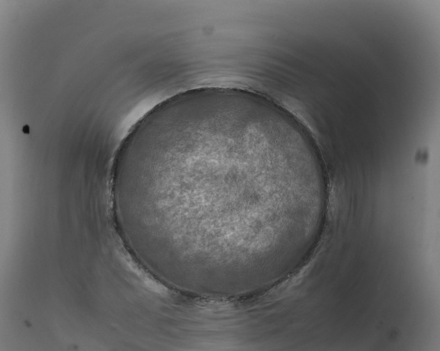 X0000112411071200908281809