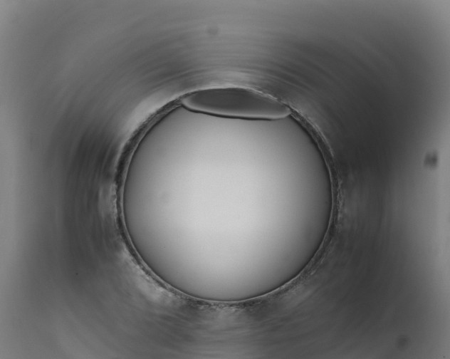 X0000112411072200908281809