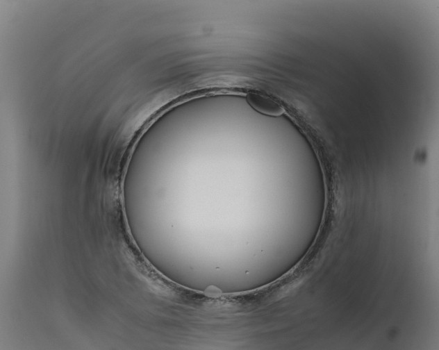 X0000112411073200908281809