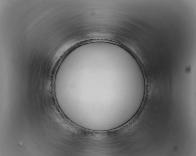 X0000112411074200908281809