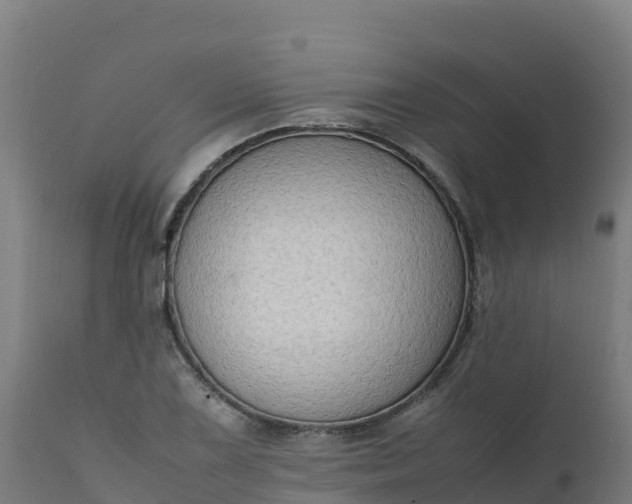 X0000112411075200908281809