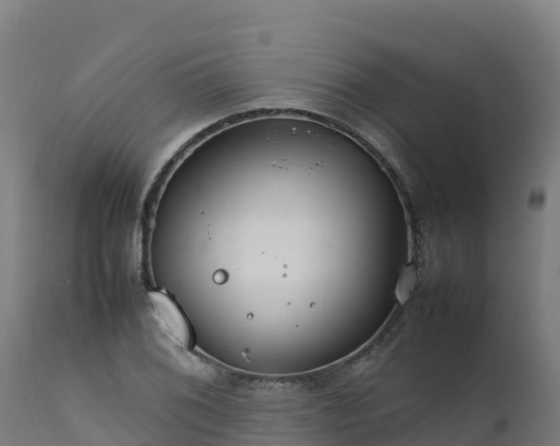 X0000112411076200908281809