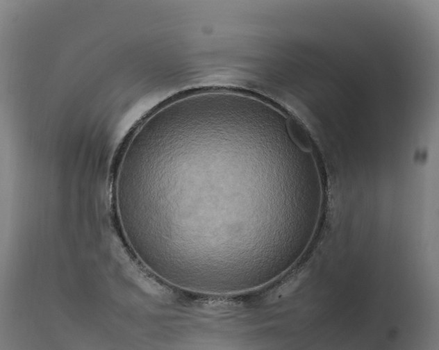 X0000112411077200908281809