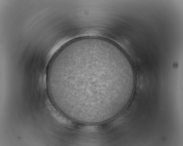 X0000112411078200908281809