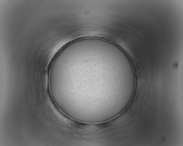 X0000112411079200908281809