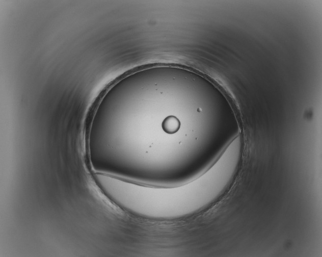 X0000112411080200908281809