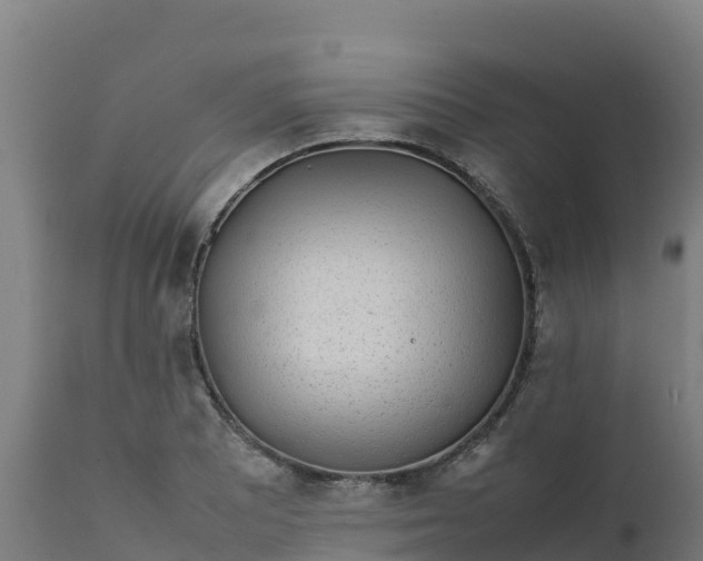 X0000112411081200908281809