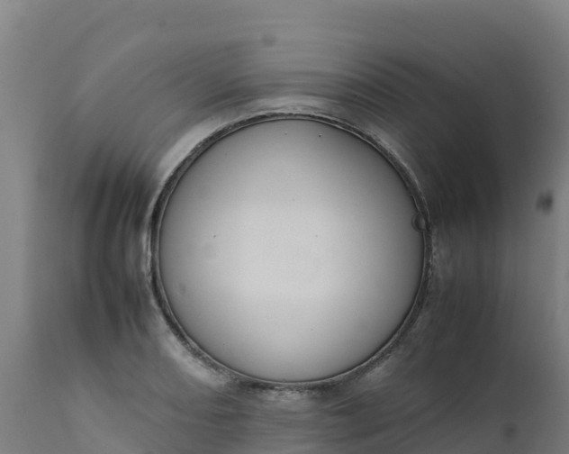 X0000112411082200908281809