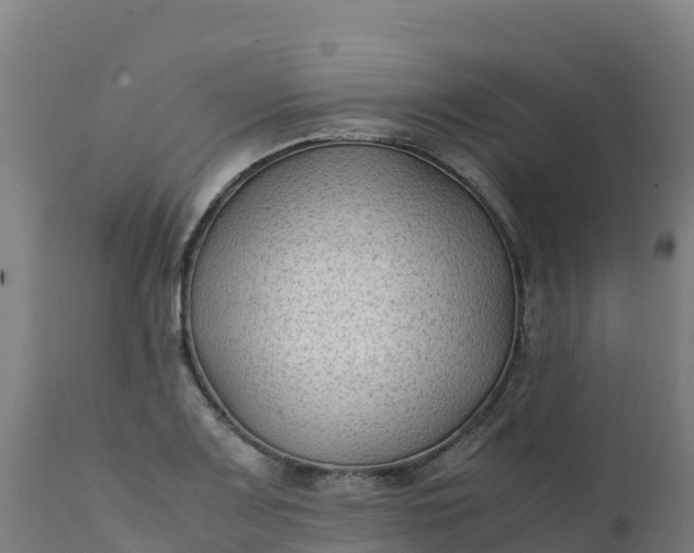 X0000112411083200908281809