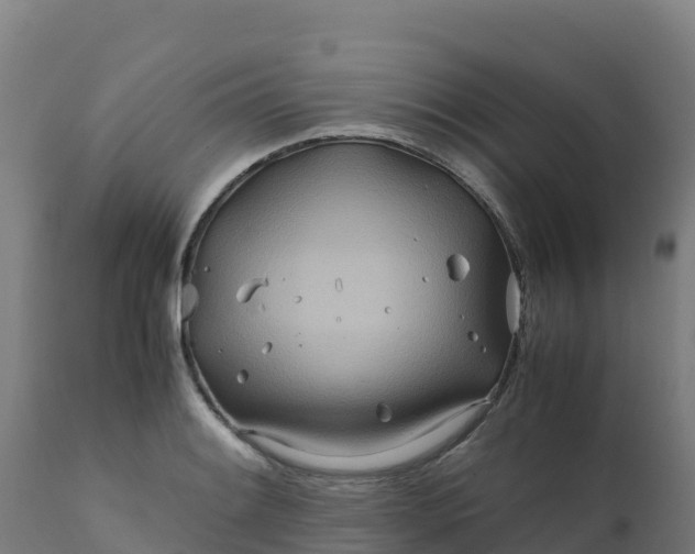 X0000112411084200908281808