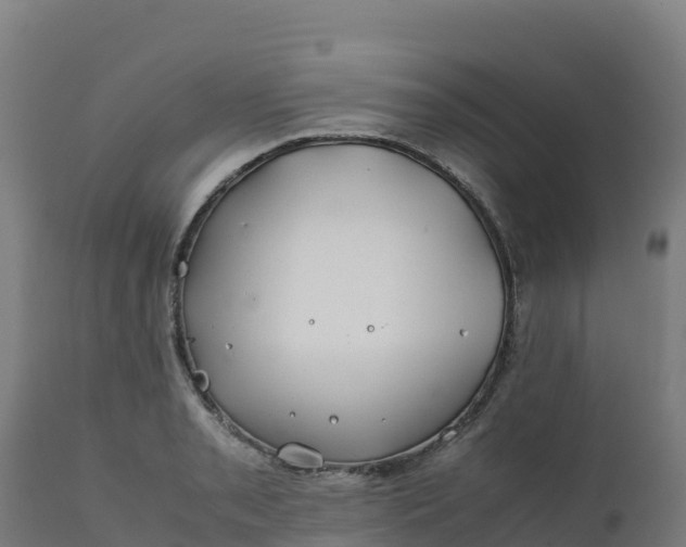 X0000112411085200908281808