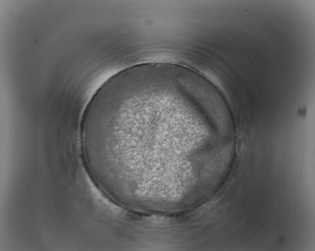 X0000112411087200908281808