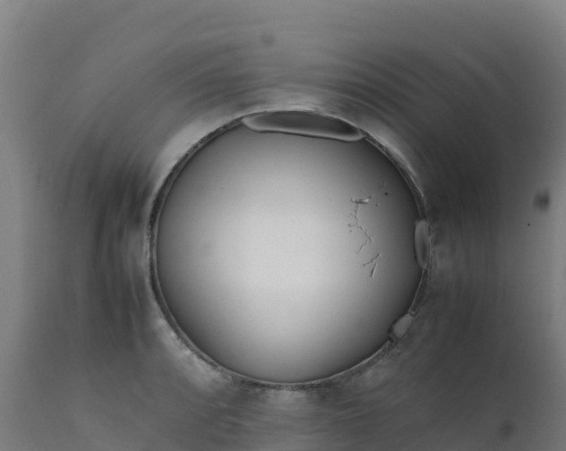 X0000112411088200908281808