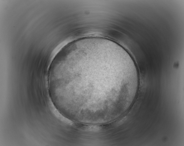 X0000112411090200908281808