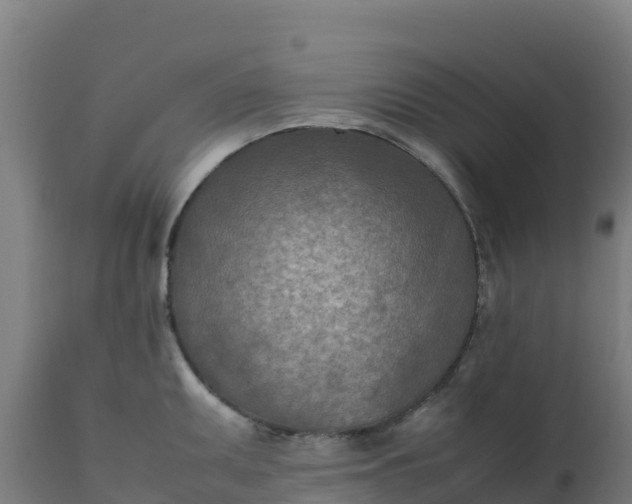 X0000112411095200908281808