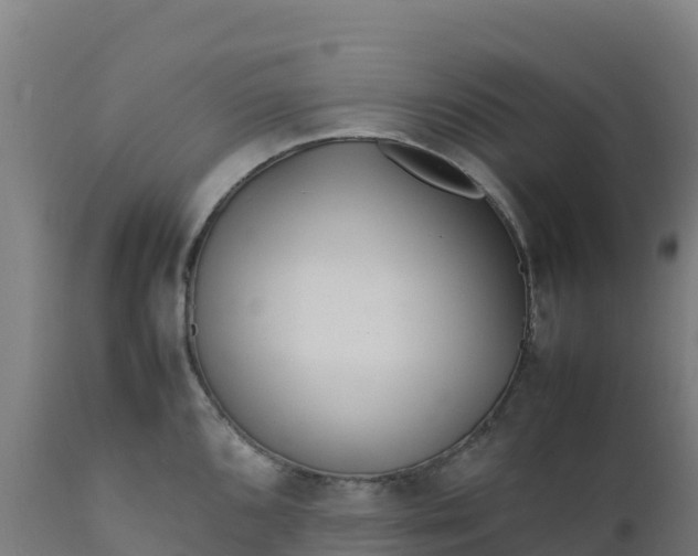 X0000112411096200908281808