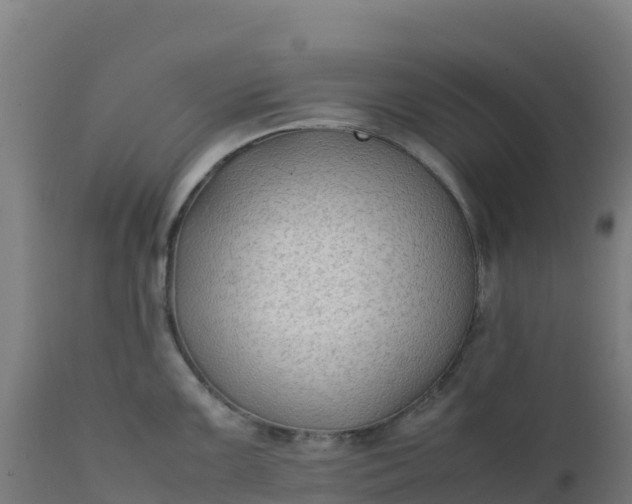 X0000112411099200908281808