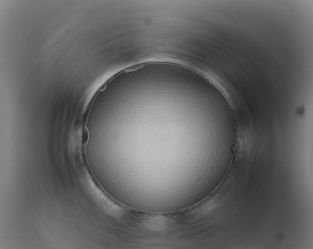 X0000112411100200908281808