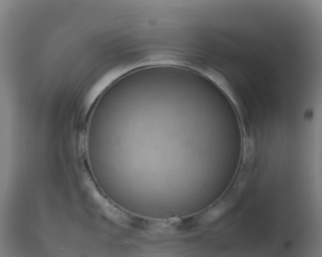 X0000112411101200908281808