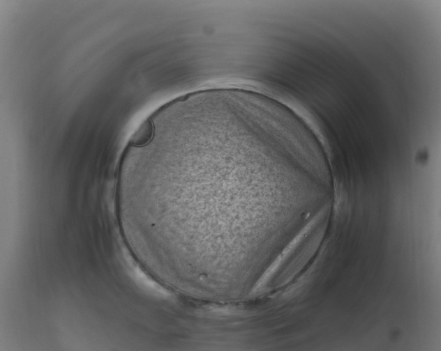 X0000112411102200908281808