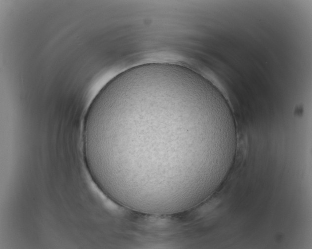 X0000112411103200908281808