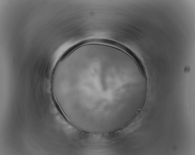 X0000112411104200908281808