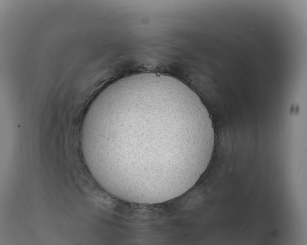 X0000112411105200908281807