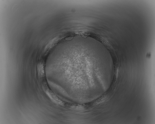 X0000112411106200908281807