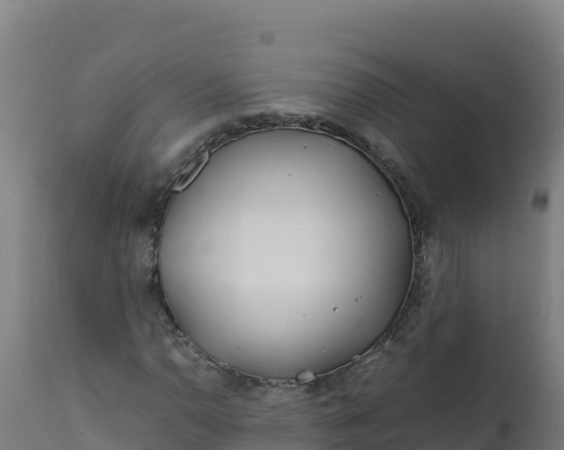 X0000112411110200908281807