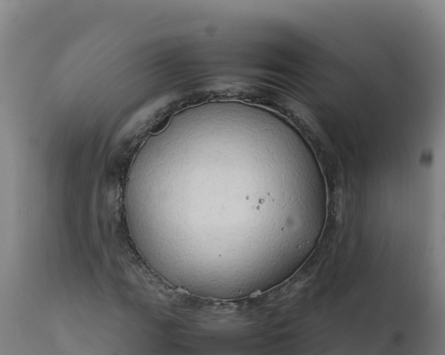 X0000112411111200908281807