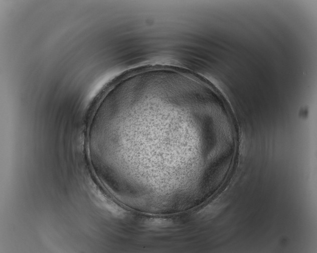 X0000112411115200908281808