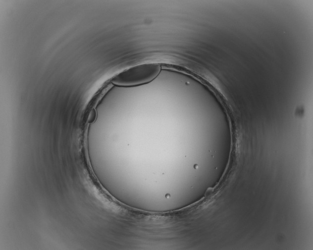 X0000112411116200908281808