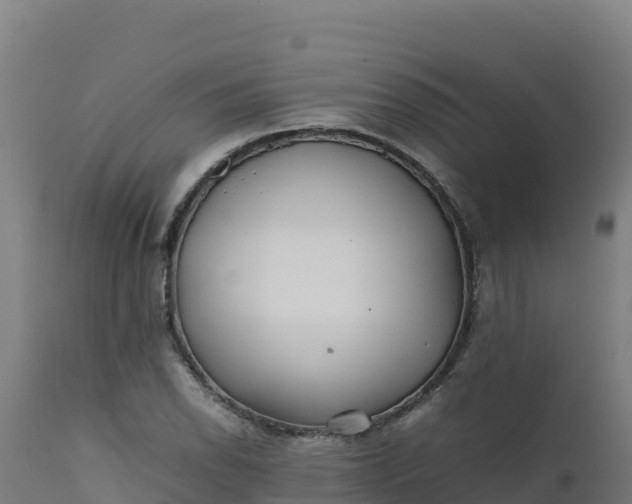 X0000112411118200908281808