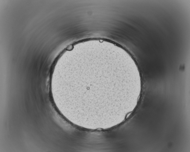 X0000112411126200908281808