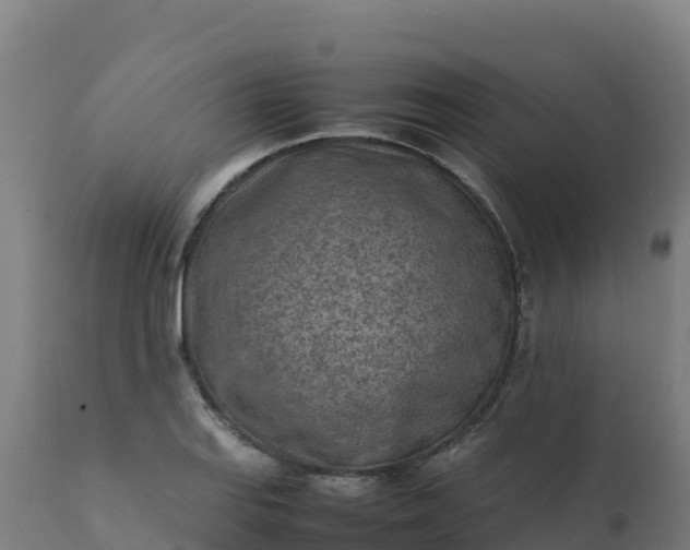 X0000112411127200908281808