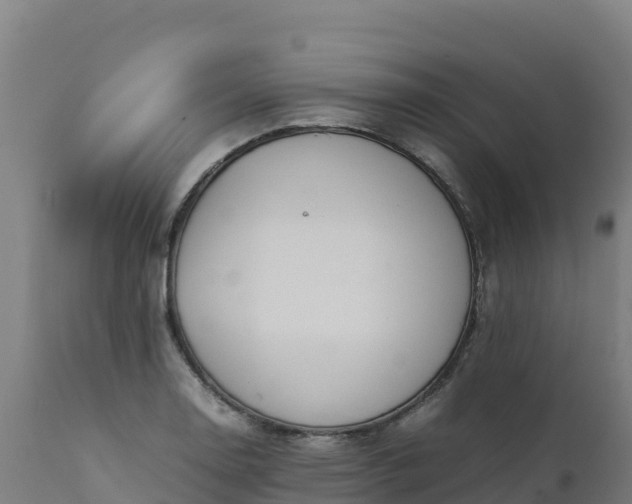 X0000112411130200908281808