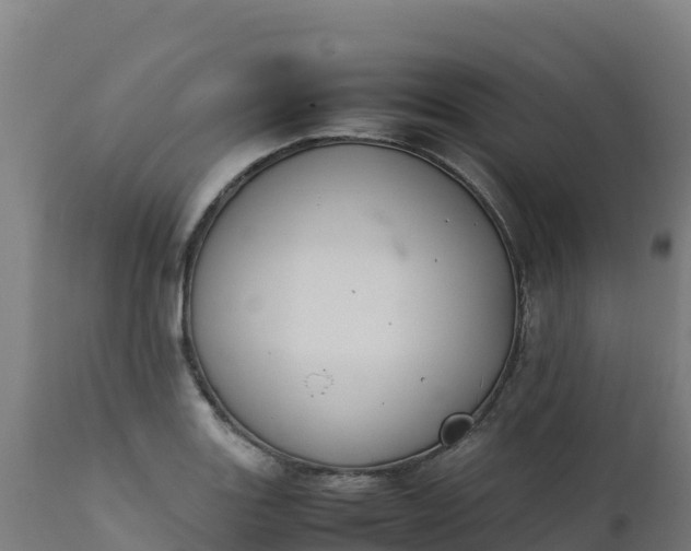 X0000112411131200908281808